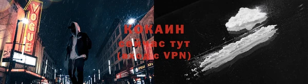 шишки Абинск