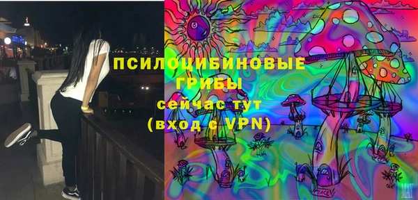 шишки Абинск