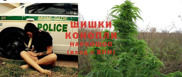 шишки Абинск