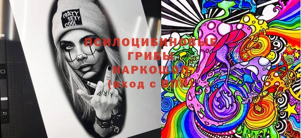 прущий лед Абаза
