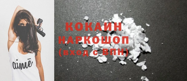 шишки Абинск