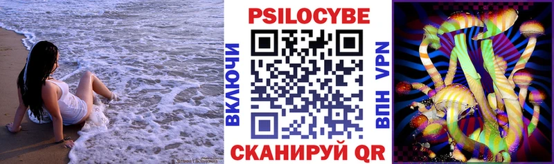 где купить наркоту  Скопин  Галлюциногенные грибы Cubensis 