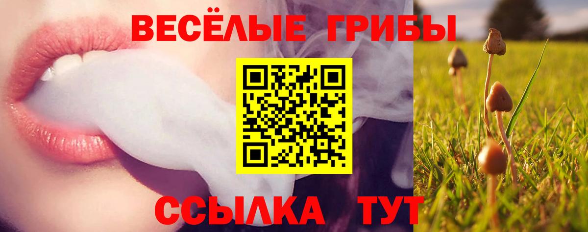 Галлюциногенные грибы Psilocybine cubensis Скопин